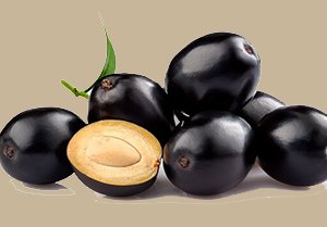 Amla Processing